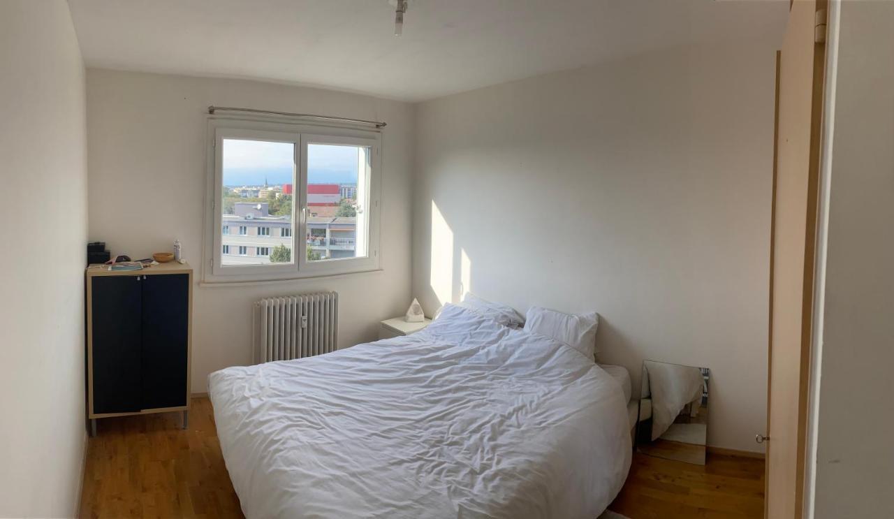 Appartement Avec Belle Vue Et Place De Parking Annemasse Eksteriør bilde