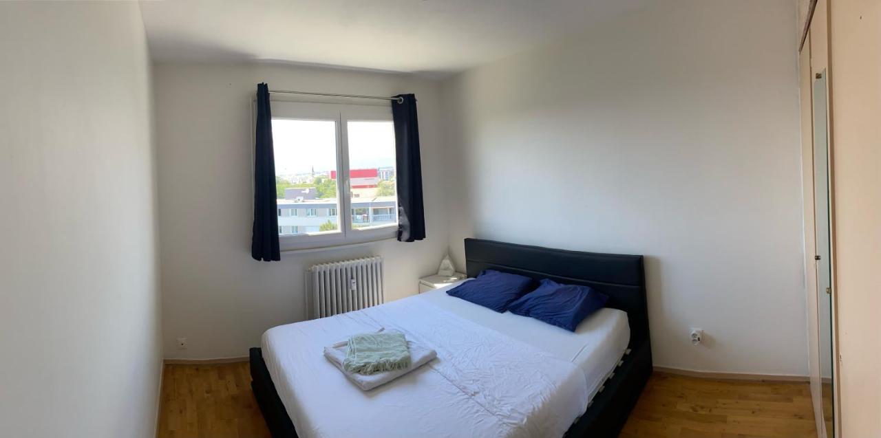Appartement Avec Belle Vue Et Place De Parking Annemasse Eksteriør bilde